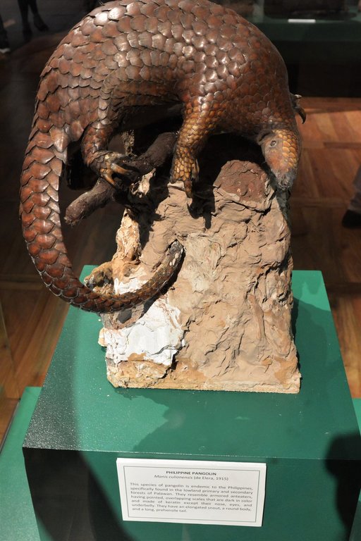 An interesting creature!