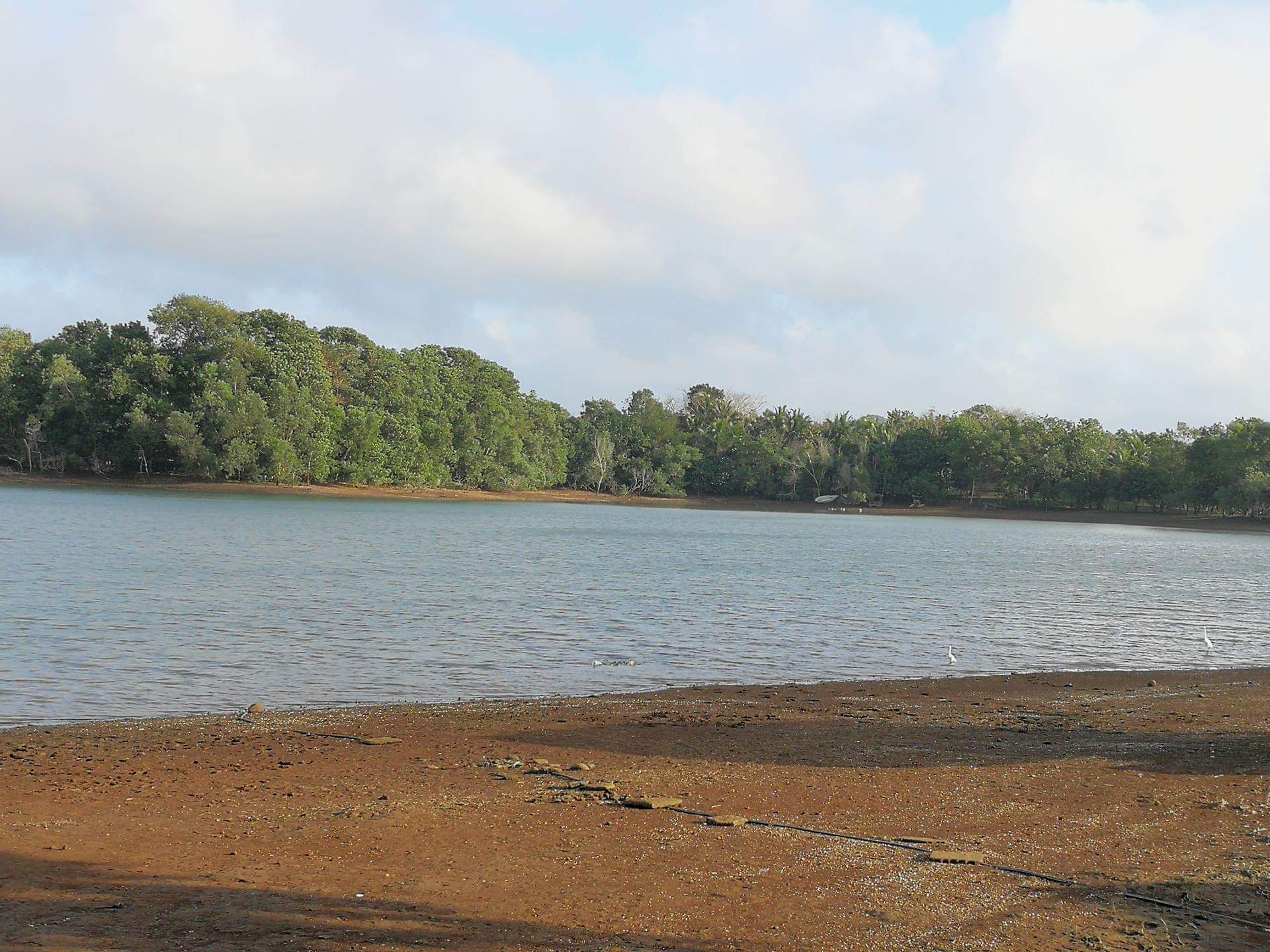 Caliraya lakeshore