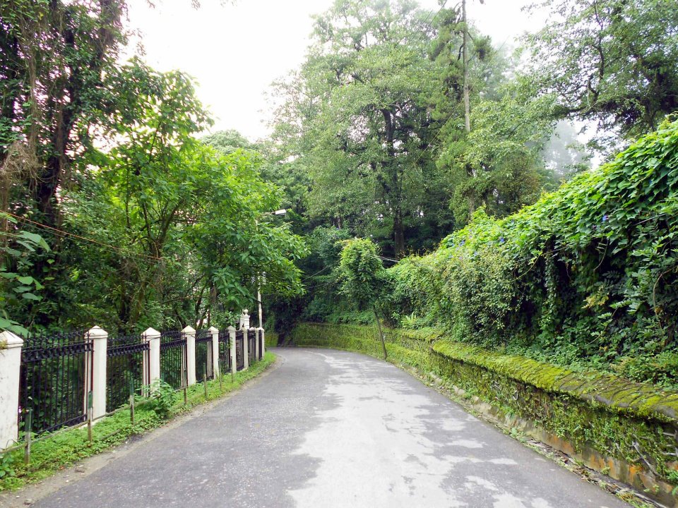 Way to Darjeeling Zoo