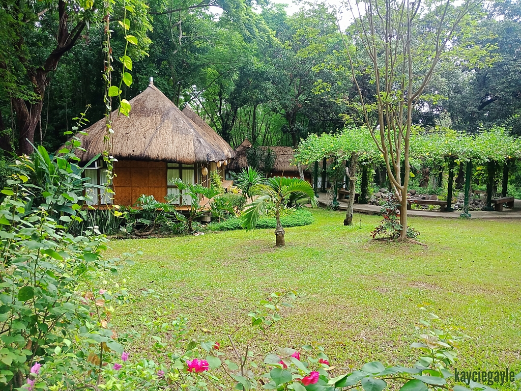 Abe's farm Pampanga