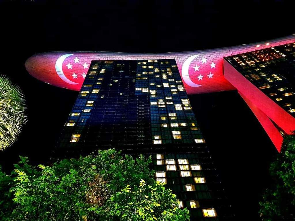 MBS on NDP 9 Aug 2019