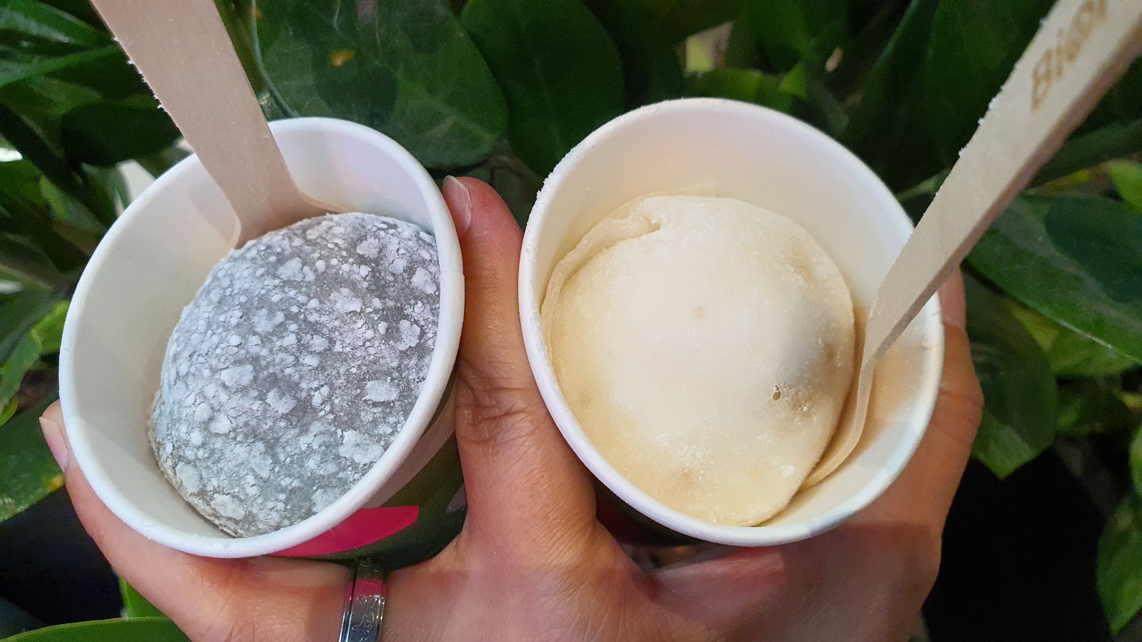 Vanda desserts