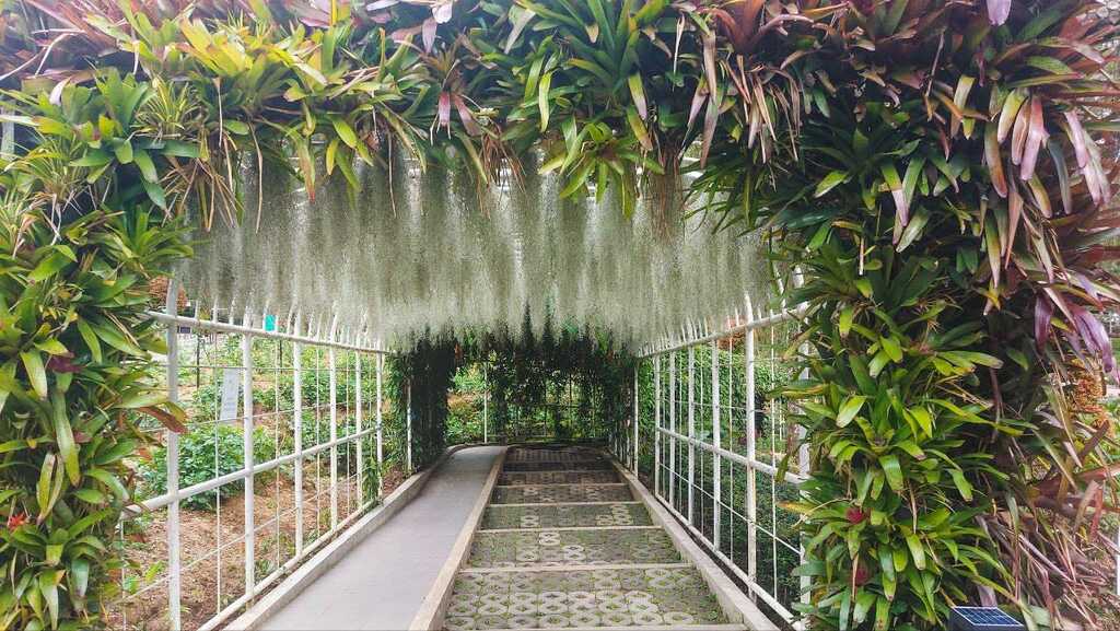 Must Visit