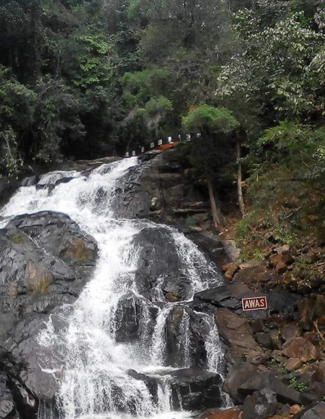 Must Visit