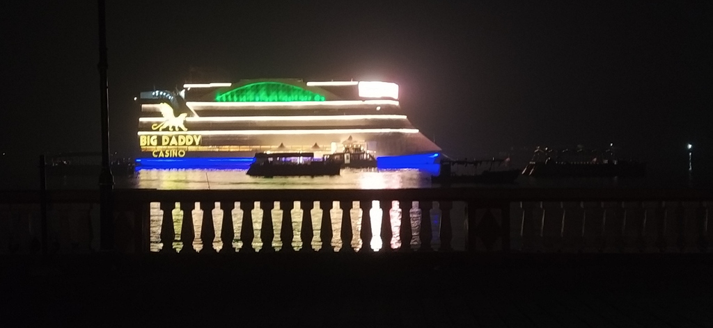 Night view of the Mandovi River