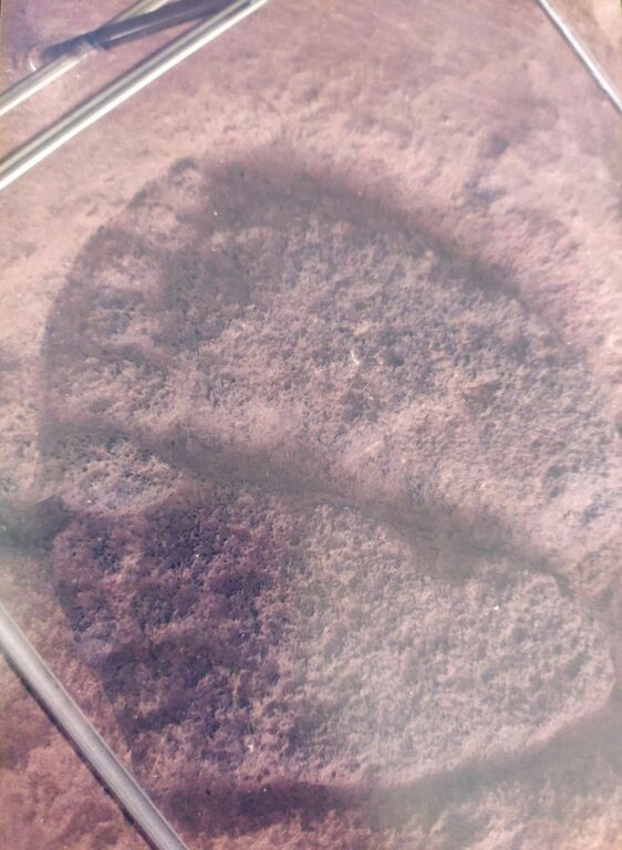 Footprint of a sage devoted to Lord Krishna