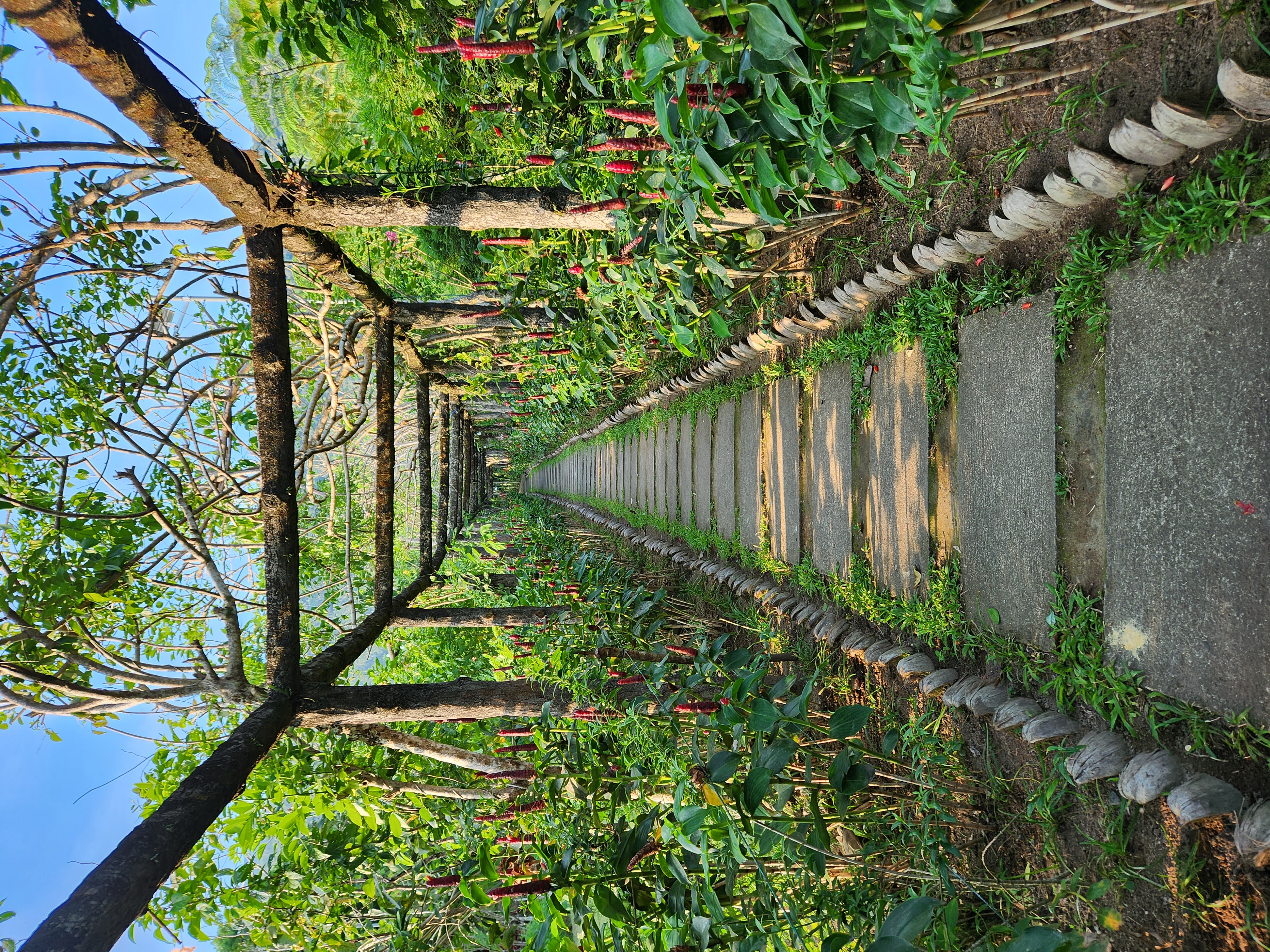 Balay Buhay sa Uma Bee Farm