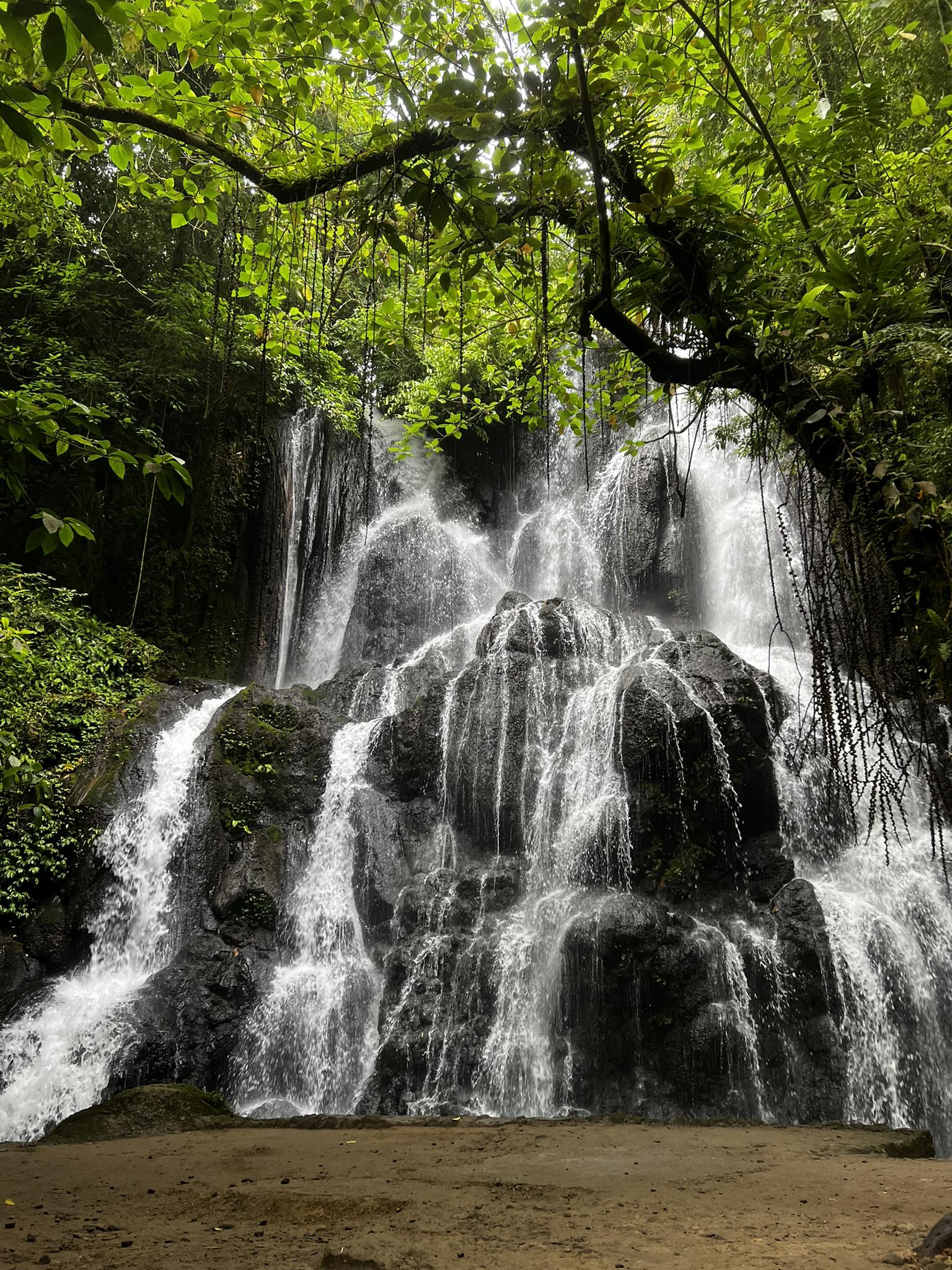 Zoe's Resort & Eco Adventure Park