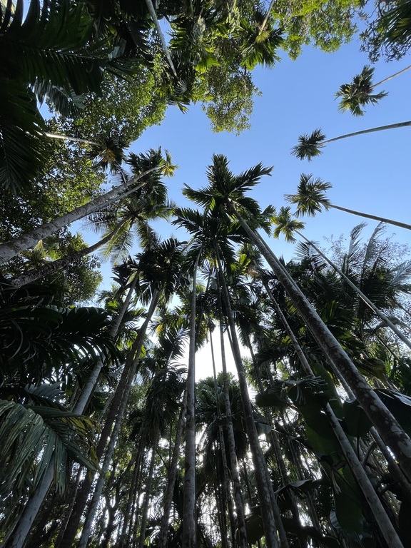 Tucked amidst greenery
