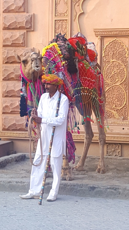 A camel handler in Kingdom of Dreams