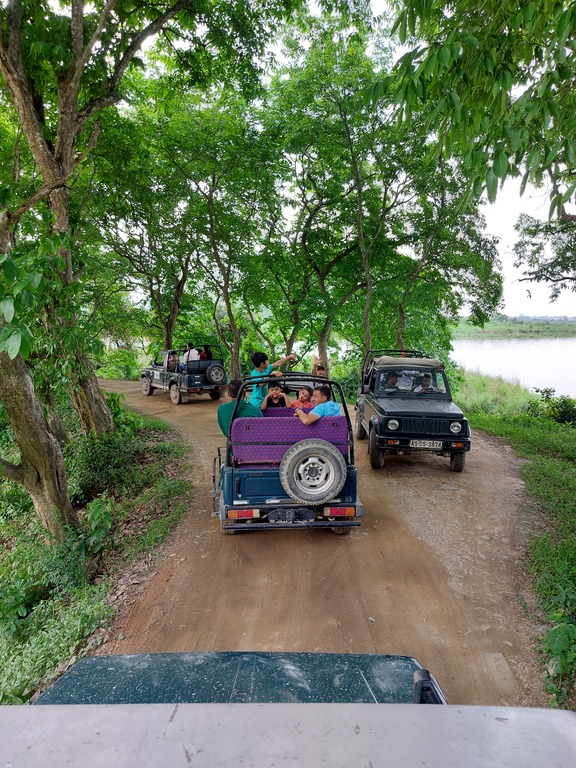 Afternoon jeep safari