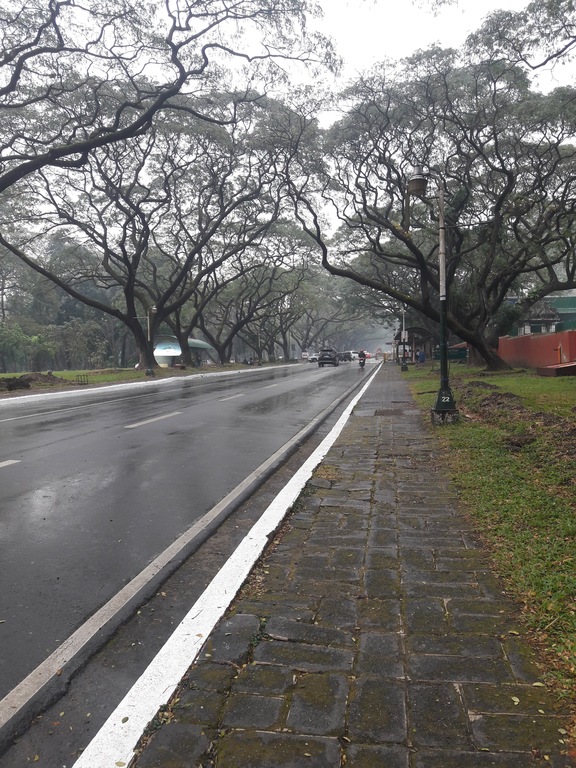 UP Academic Oval