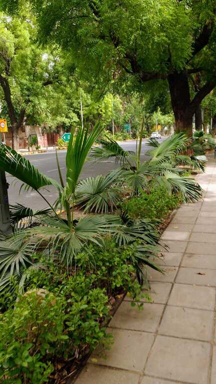Footpath in New Delhi