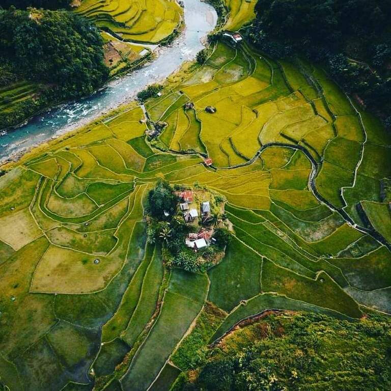 Banaue Rice Terraces