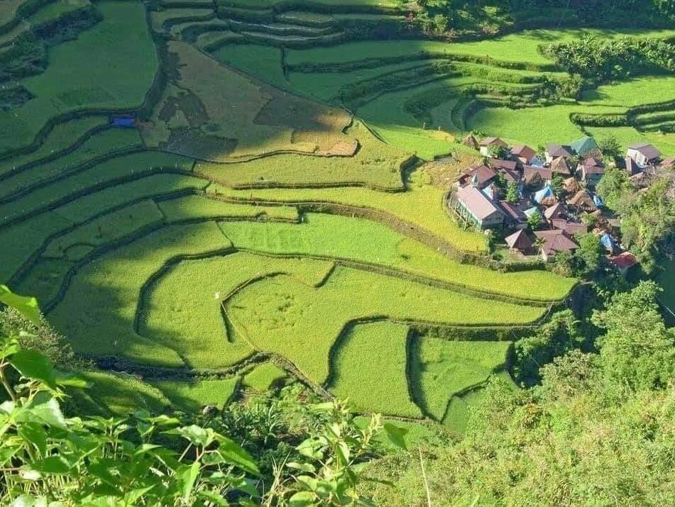 Banaue Rice Terraces