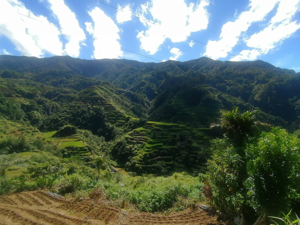 Banaue Rice Terraces