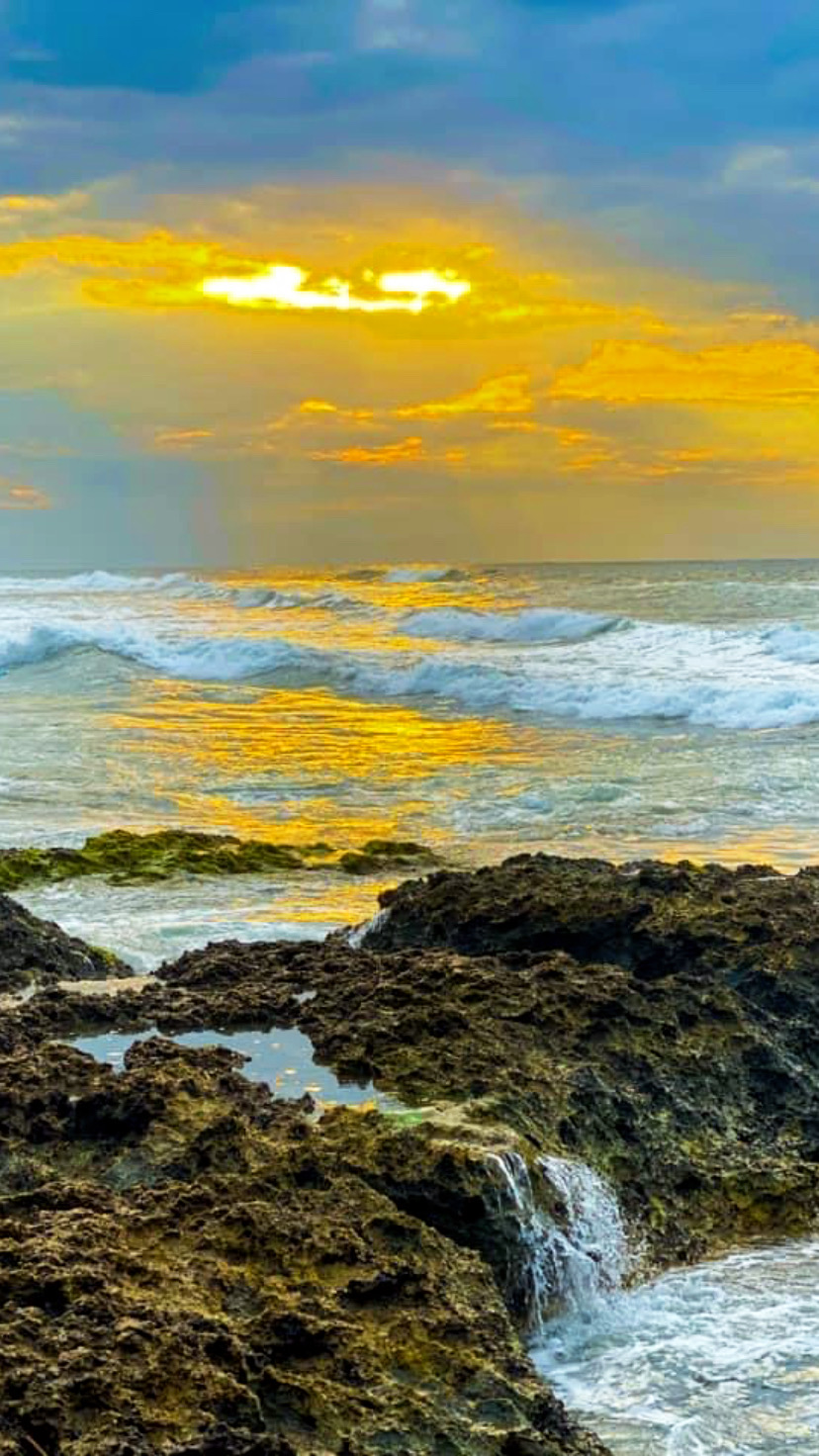 Enjoy the surf culture in San Juan Beach