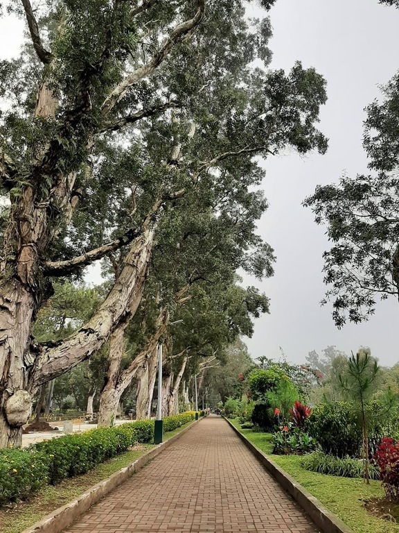Burnham Park