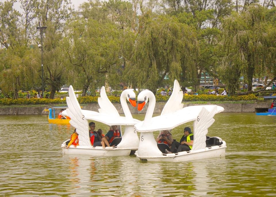 Swan Boating on Burnham Park