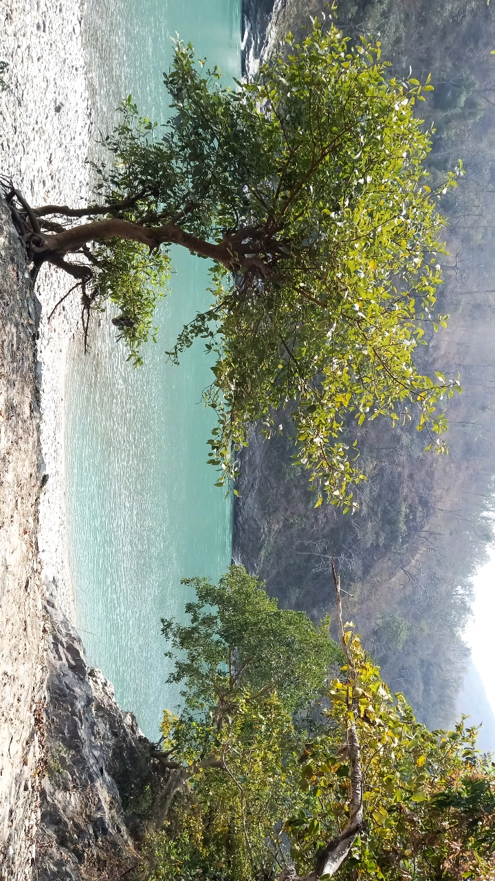 Shivpuri, Rishikesh