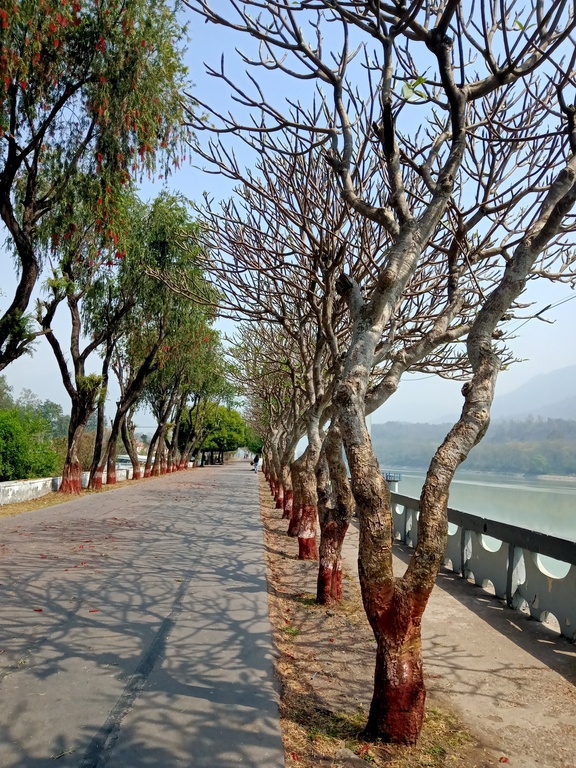 Marine Drive (Aastha Path), Rishikesh