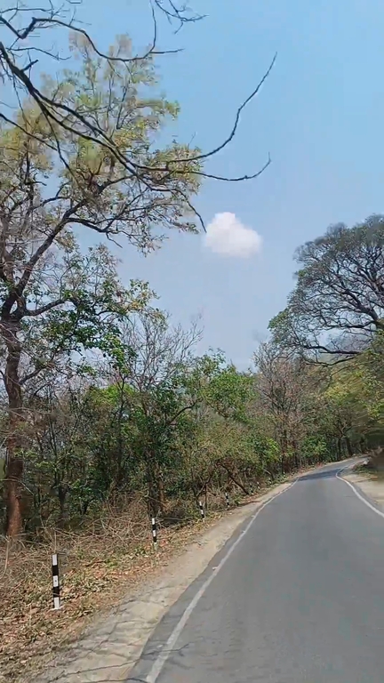 Way to Patna Waterfalls