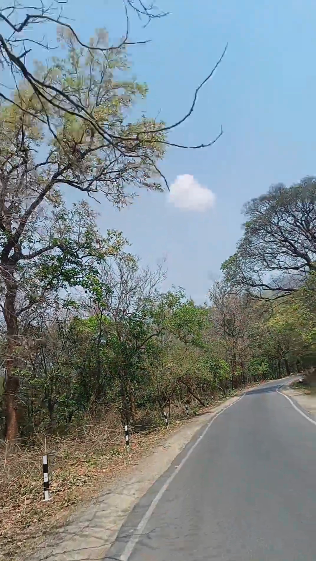 Way to Patna Waterfalls