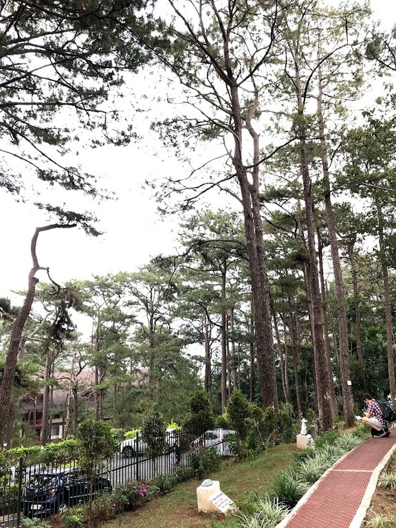 Camp John Hay