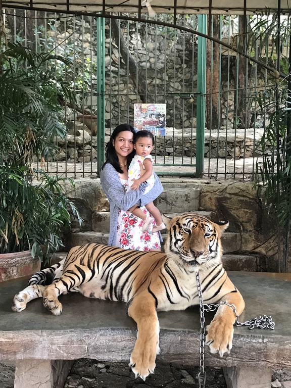 Baluarte Zoo