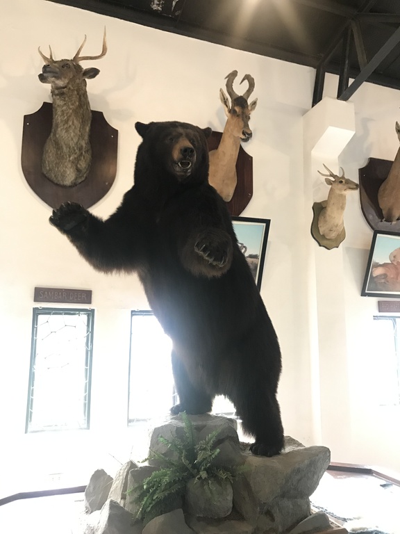 Baluarte Zoo