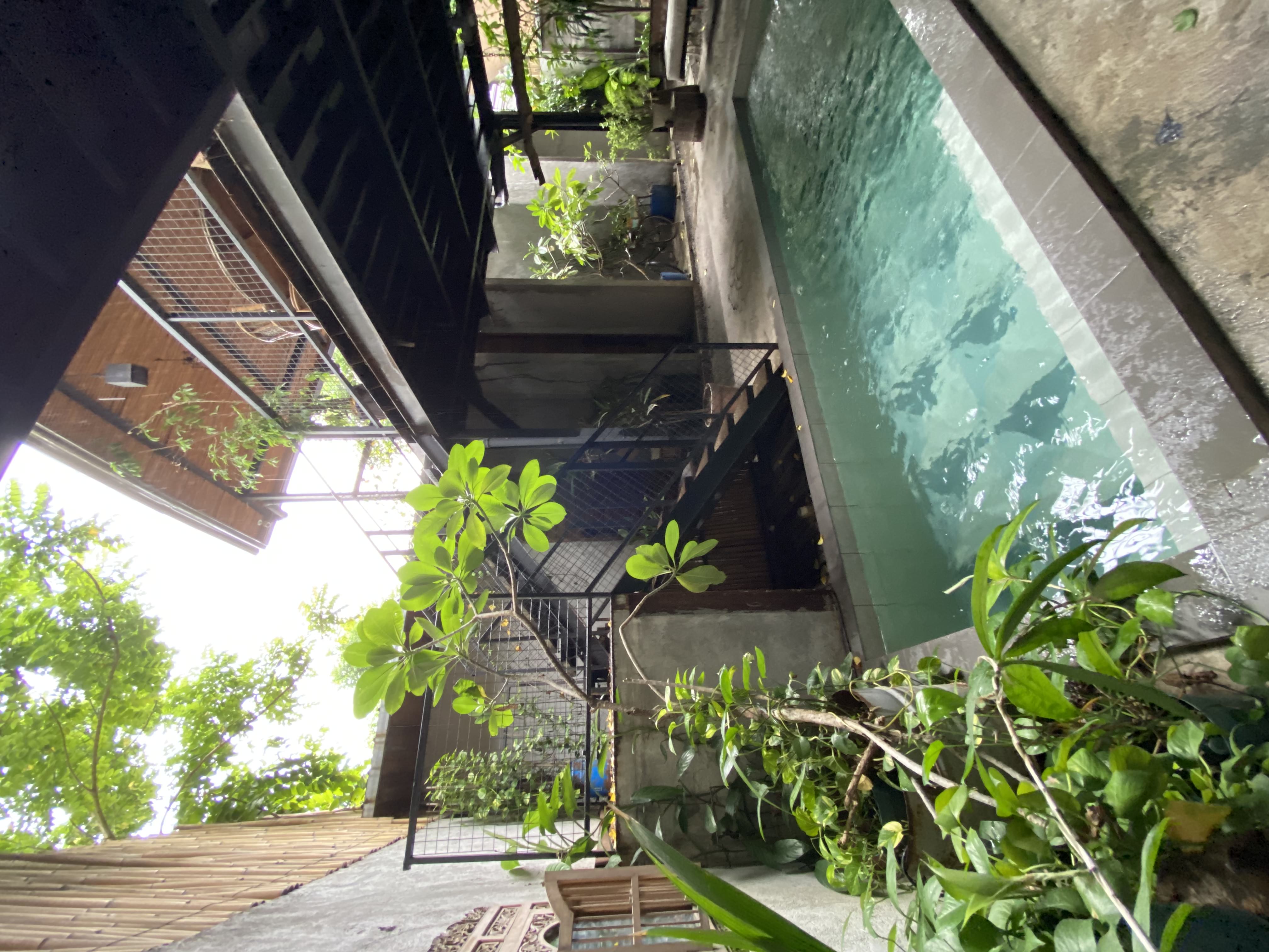 outdoor pool area