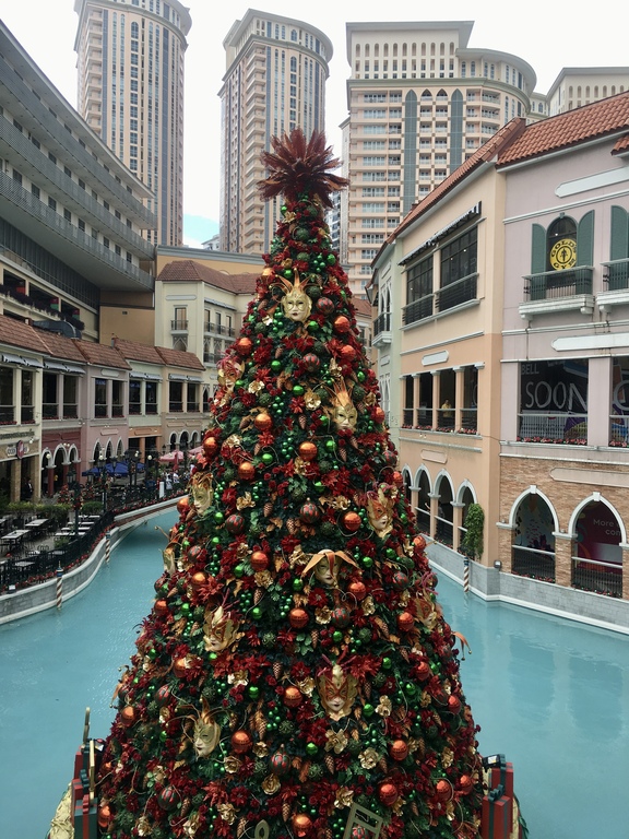 A photo of their Christmas Tree 