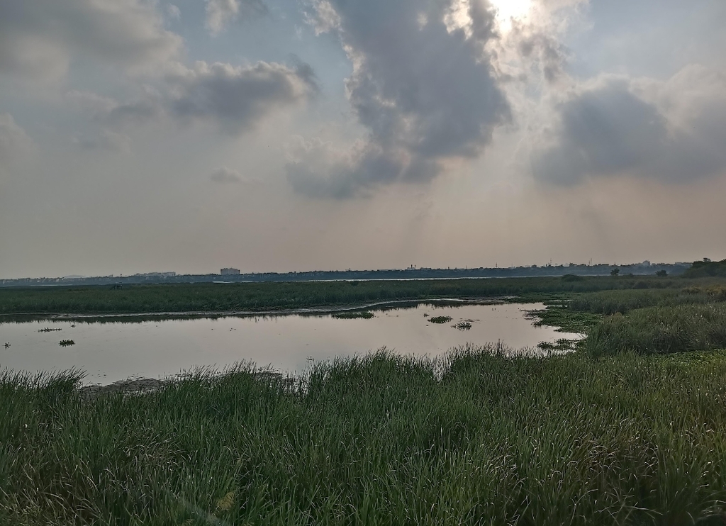 Okhla Bird Sanctuary