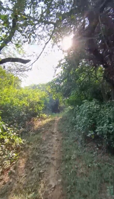 Sanjay Van