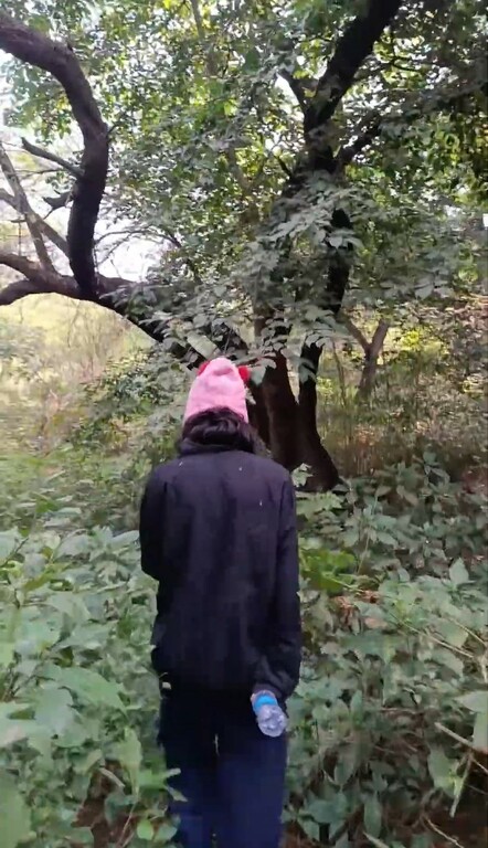 Sanjay Van
