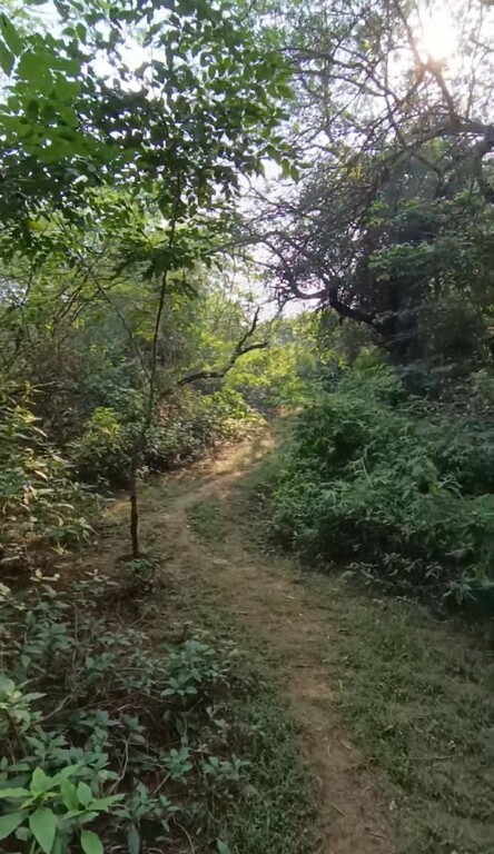 Sanjay Van