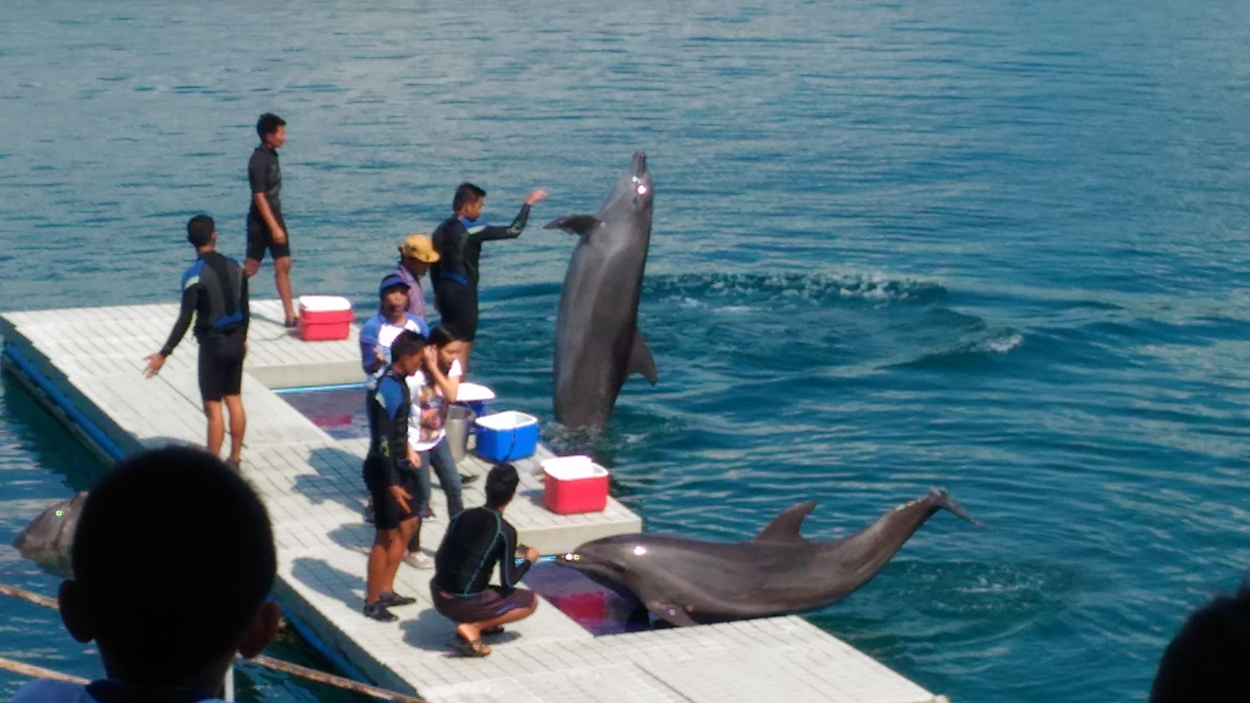 Ocean Adventure