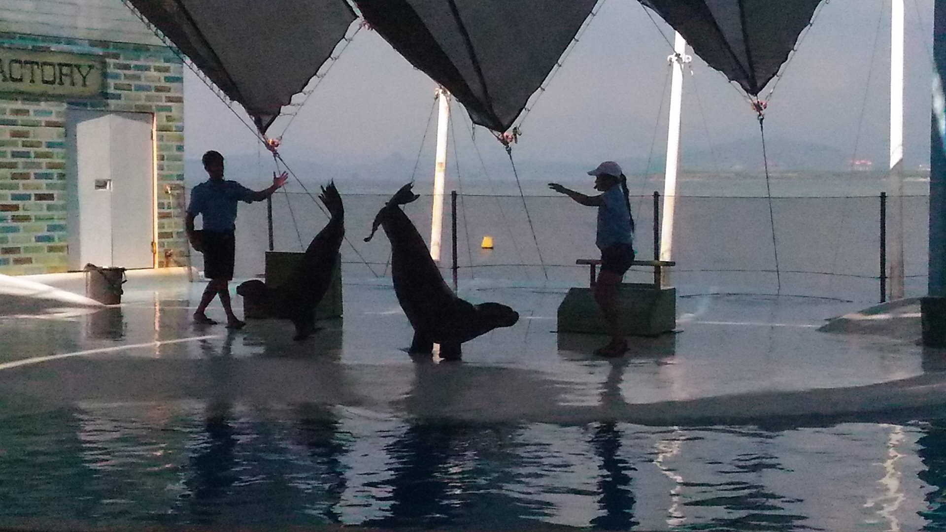 Ocean Adventure