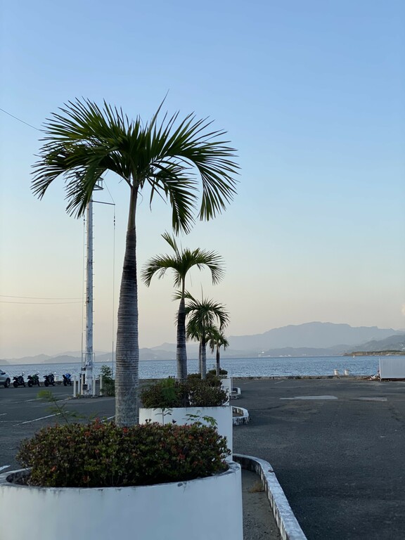 Camayan