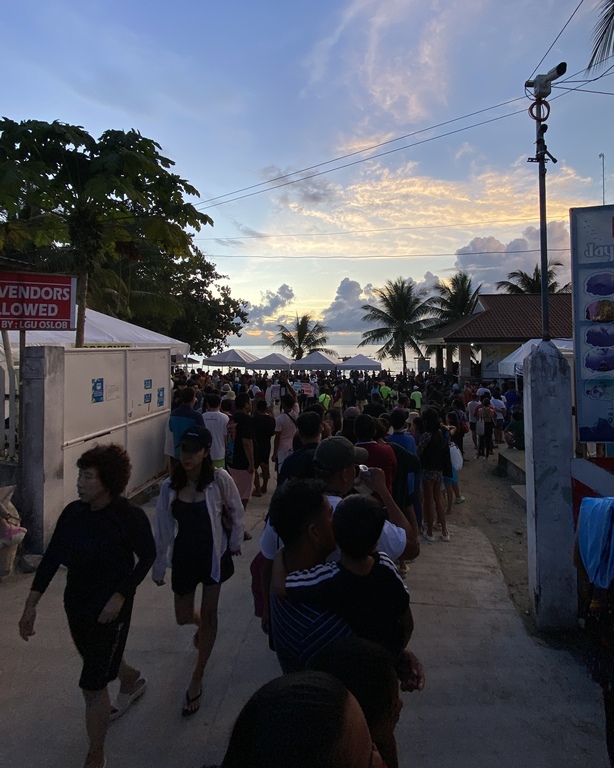 Oslob whale shark watching