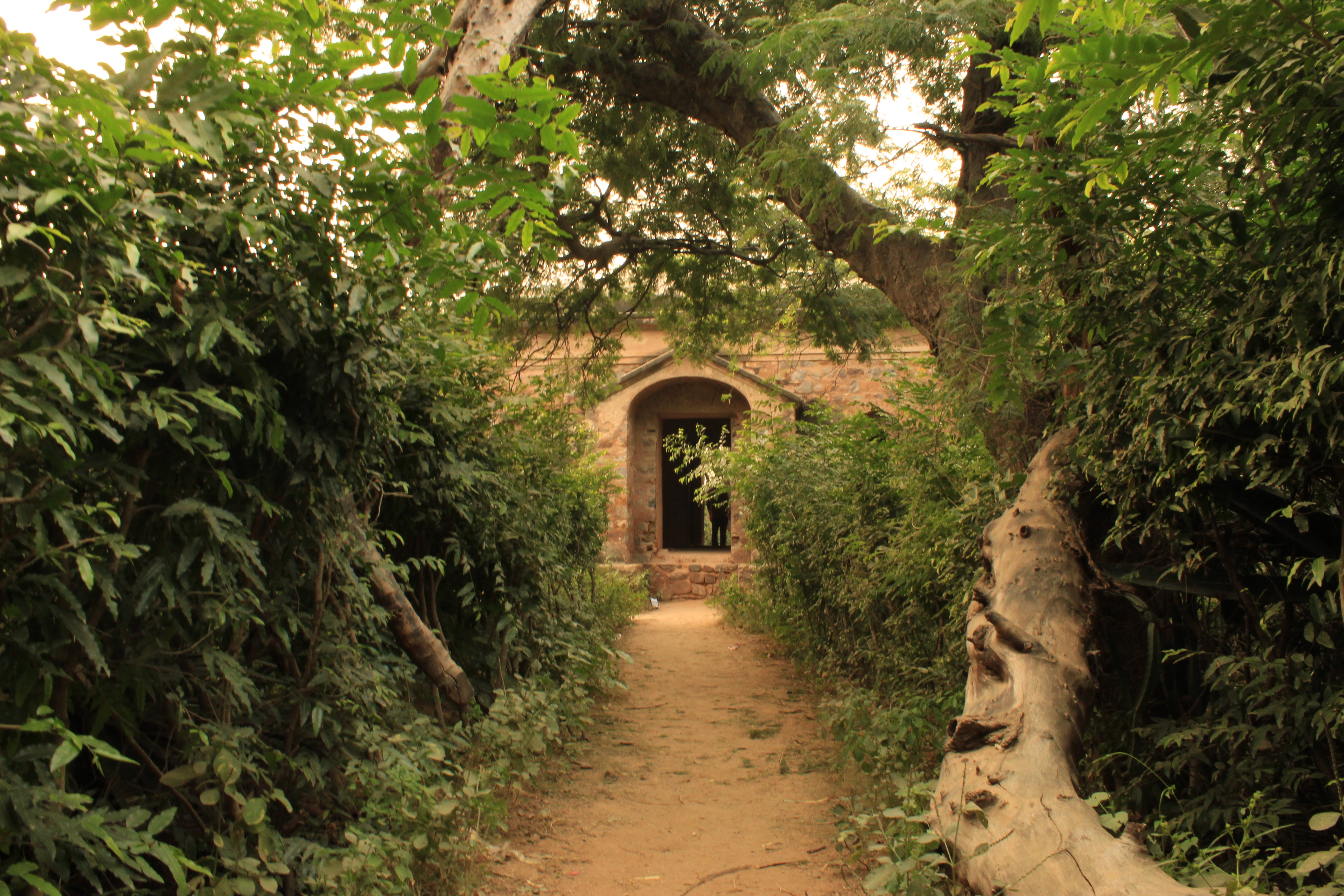 British era structure hidden amidst Kamla Nehru Ridge