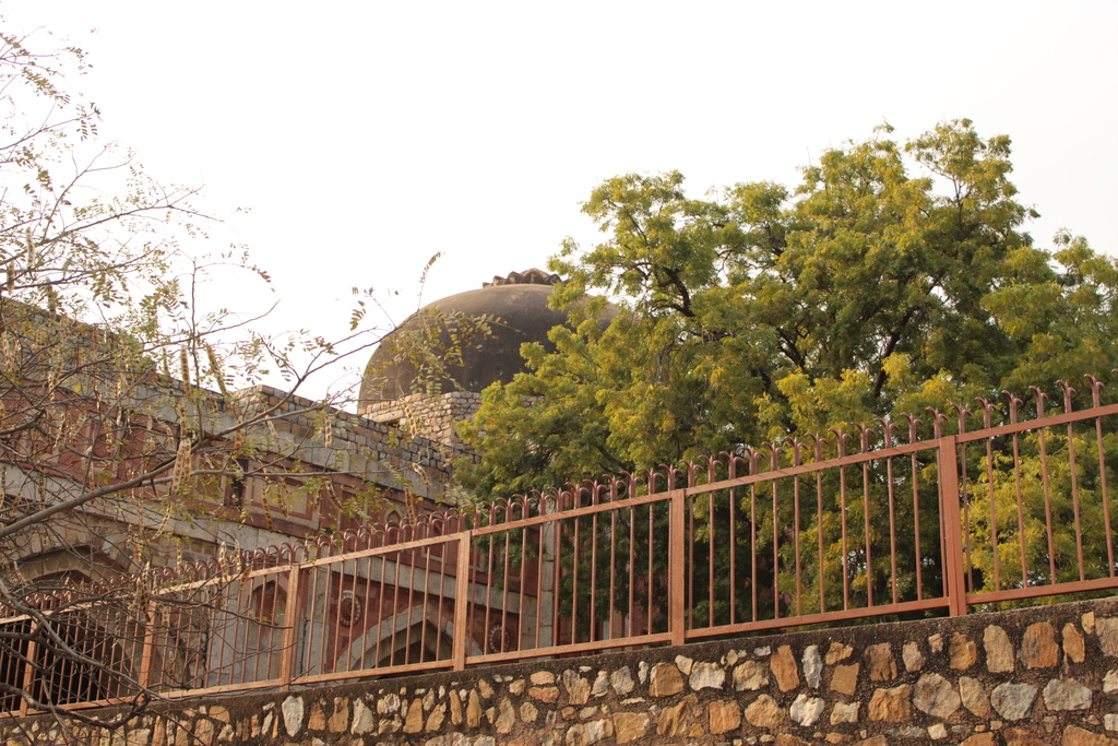 Qutub Minar hidden amidst greenery