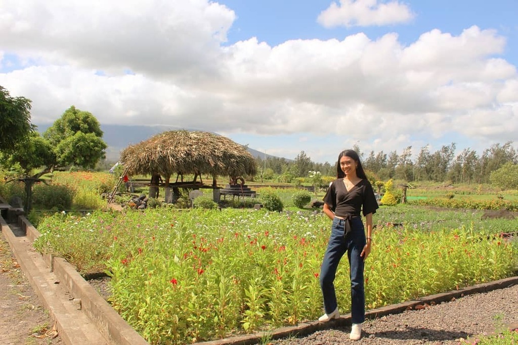 Daraga, Albay