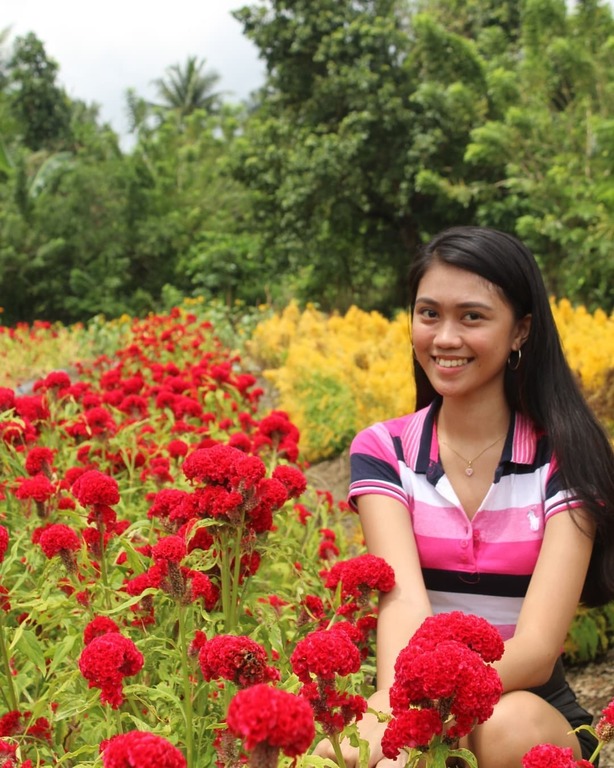 Bee Farm, Camalig, Albaya