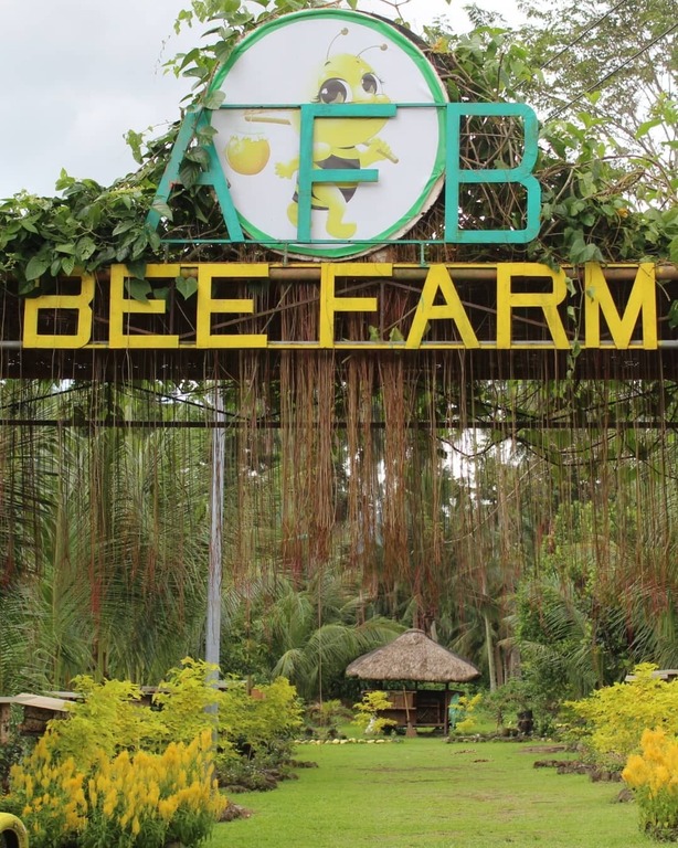 Bee Farm, Camalig, Albaya