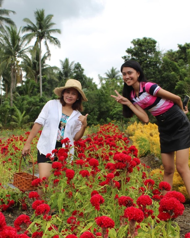Bee Farm, Camalig, Albaya