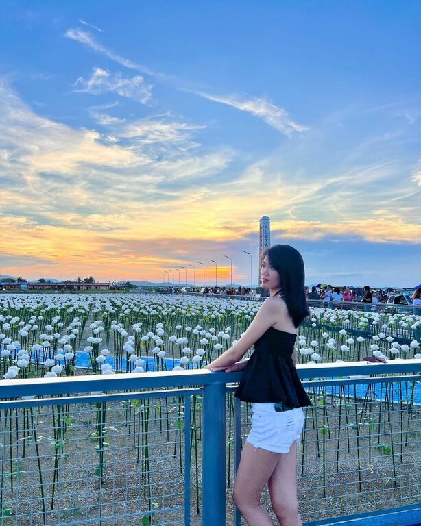16K Blue Roses in Plaza Escudero, Casiguran, Sorsogon