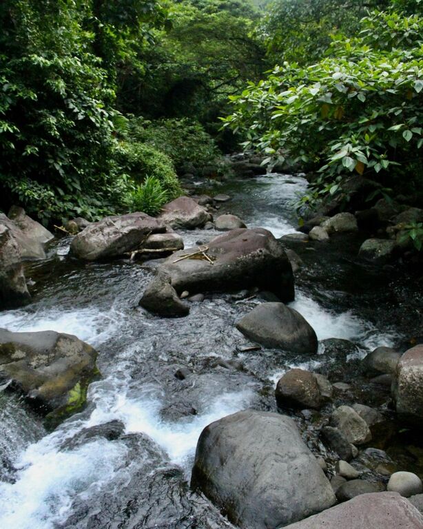 The cool water