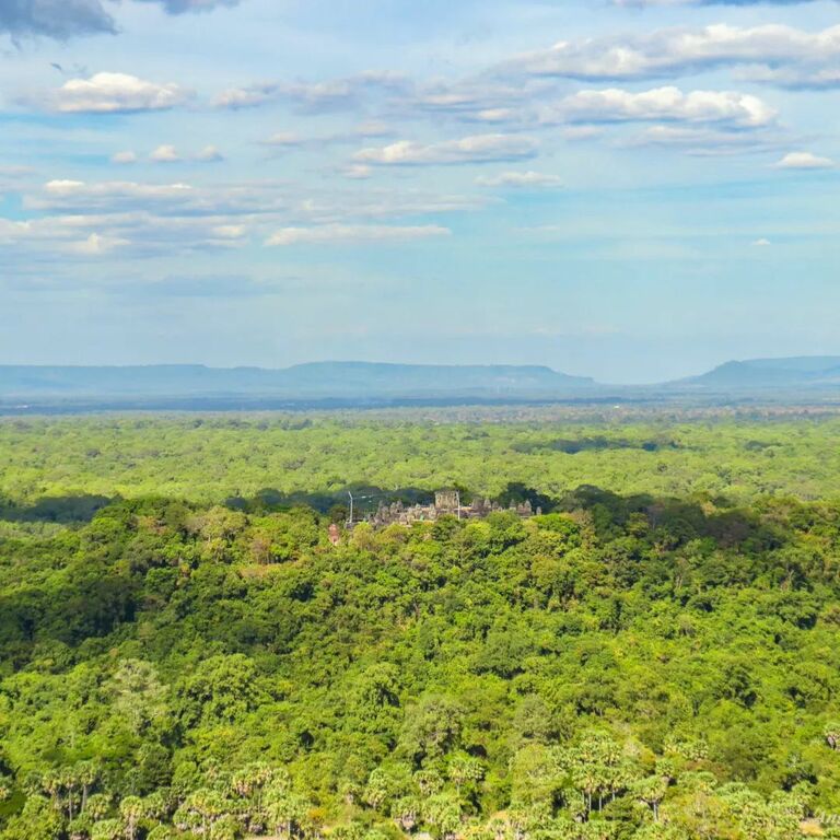 Bird's eye view of the landscape