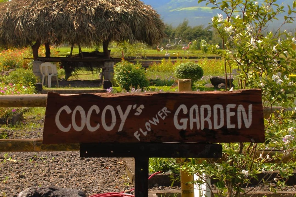 Daraga, Albay